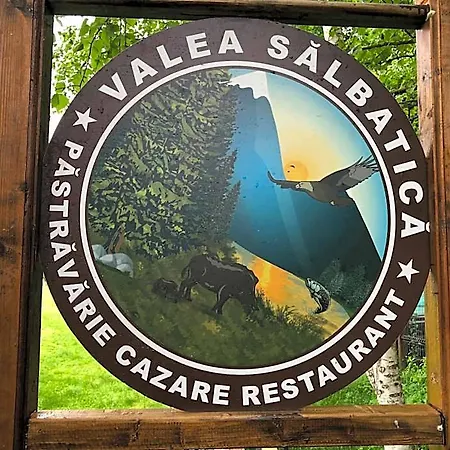 Valea Salbatica Braşov