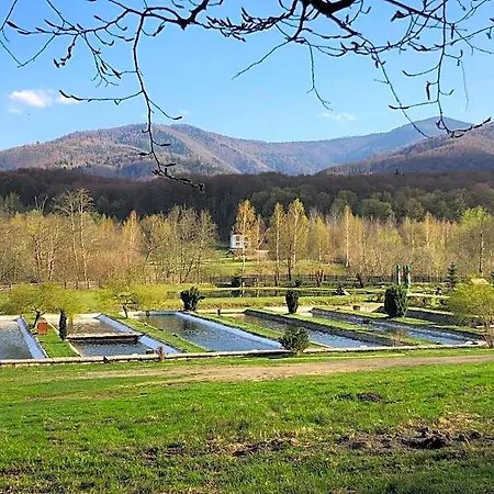 Hotel Valea Salbatica *