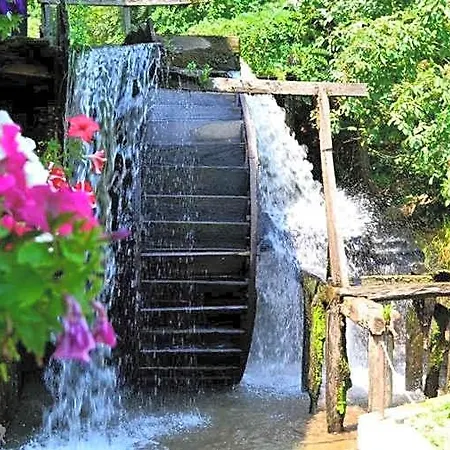 Valea Salbatica